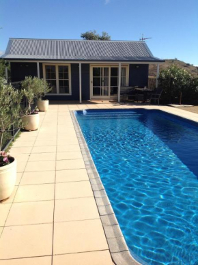 Amazing Views Pet Friendly Bed and Breakfast